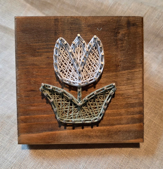 Tulip