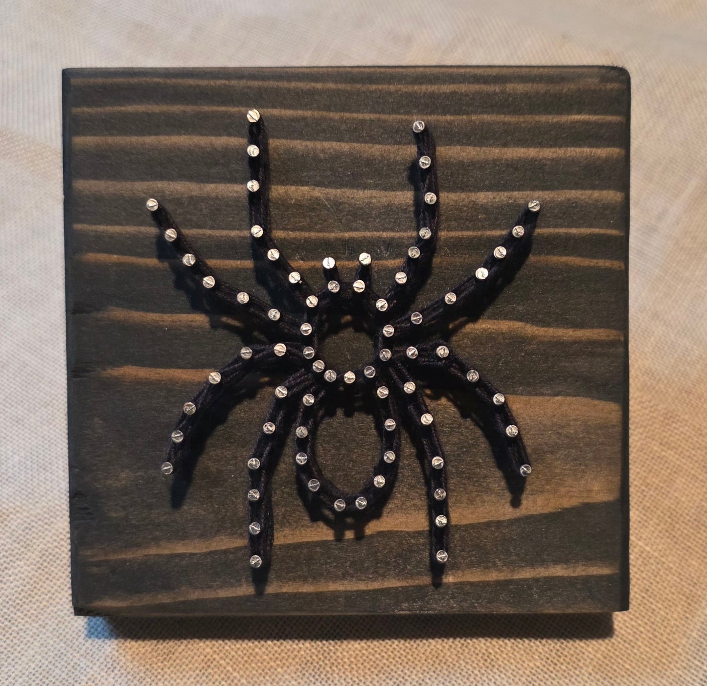 Spider
