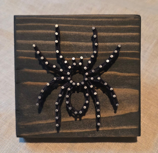 Spider